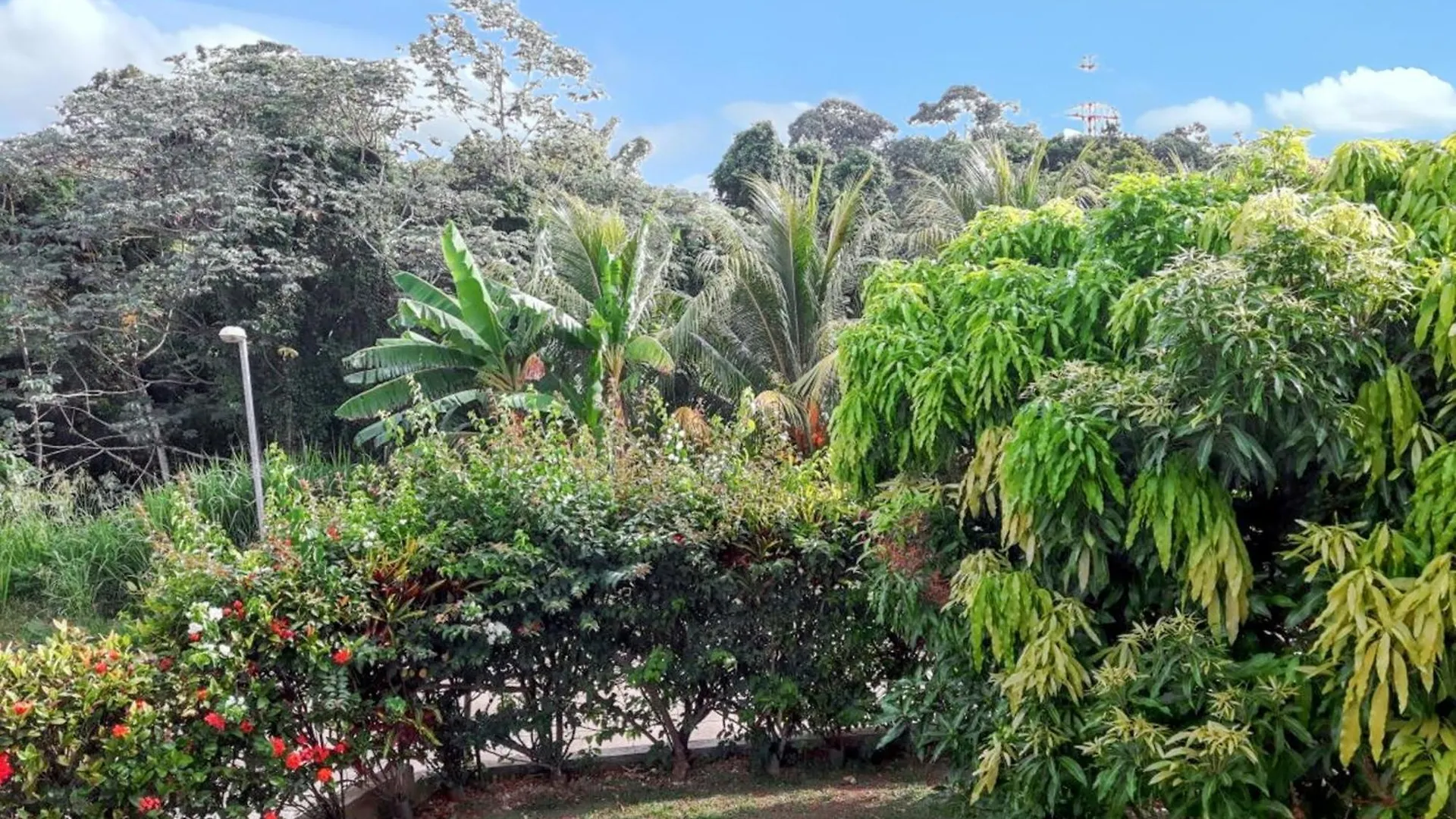 Appartement Moderne A Ducos Ideal Pour 4 Personnes 75 M² Martinica